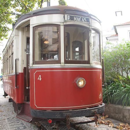 Tram Apartments Sintra Room photo